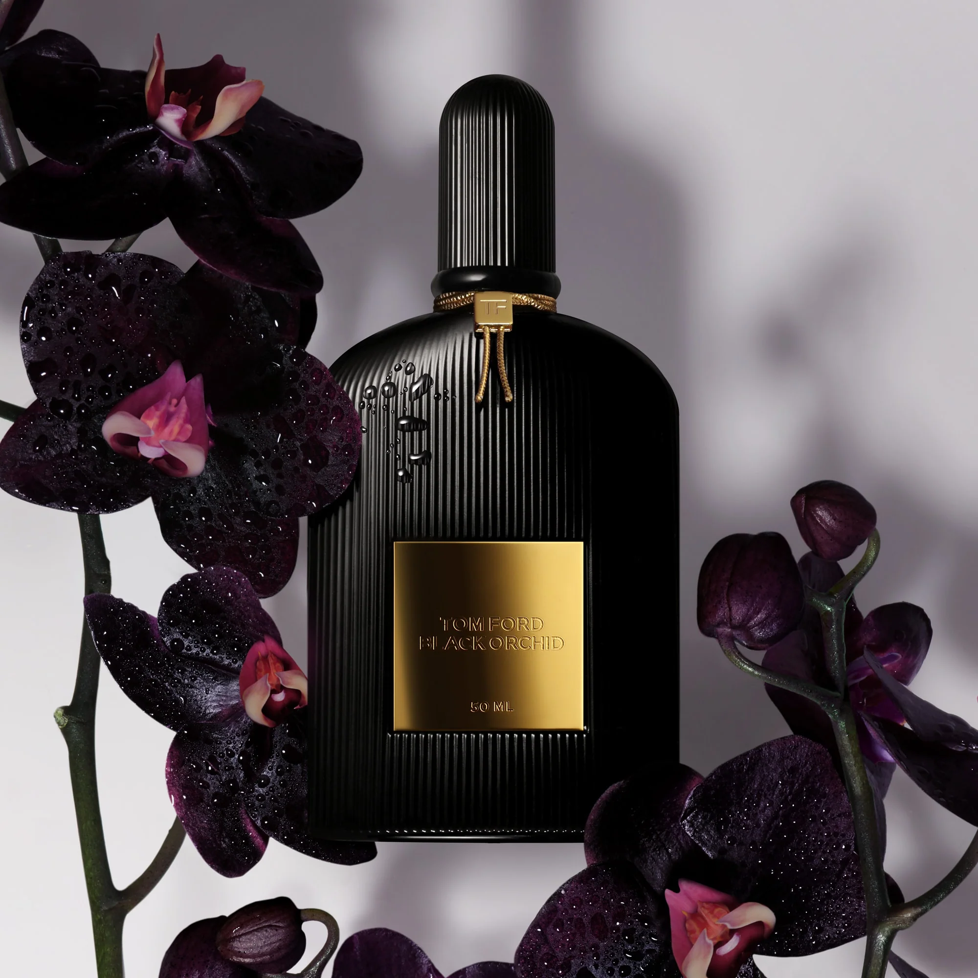 Black Orchid Eau de Parfum - Image 11